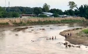 SpaceX Shuts Down Starlink Terminals In Myanmar Raid