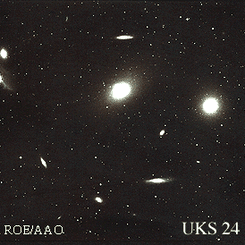Virgo Cluster Galaxies