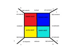 Sizce Demir oksit, Bakır oksit, Altın oksit ve Gümüş oksit ile D, B, A ve K vitaminleri arasında bir ilişki olabilir mi?