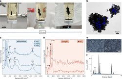 İlk Hücrelerin Enerji Kaynağı Keşfedildi!
