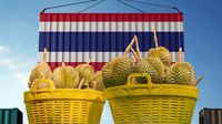 ทุเรียนไทย ชาวสวนปาดน้ำตา มรสุมรอบทิศ เข้มส่งออก-ผลผลิตต่ำ