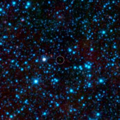 The Coldest Brown Dwarf