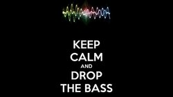 Skrillex'in Bilimi: Konuşan Bas Fenomeni