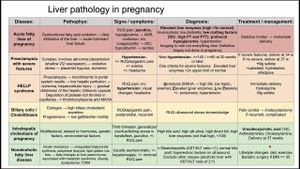 Elevated Liver Enzymes And Dyslipidemia Common Among Pregnant Women