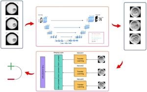 AI Enhances Classification Of Mouse Stem Cell-Derived Embryos