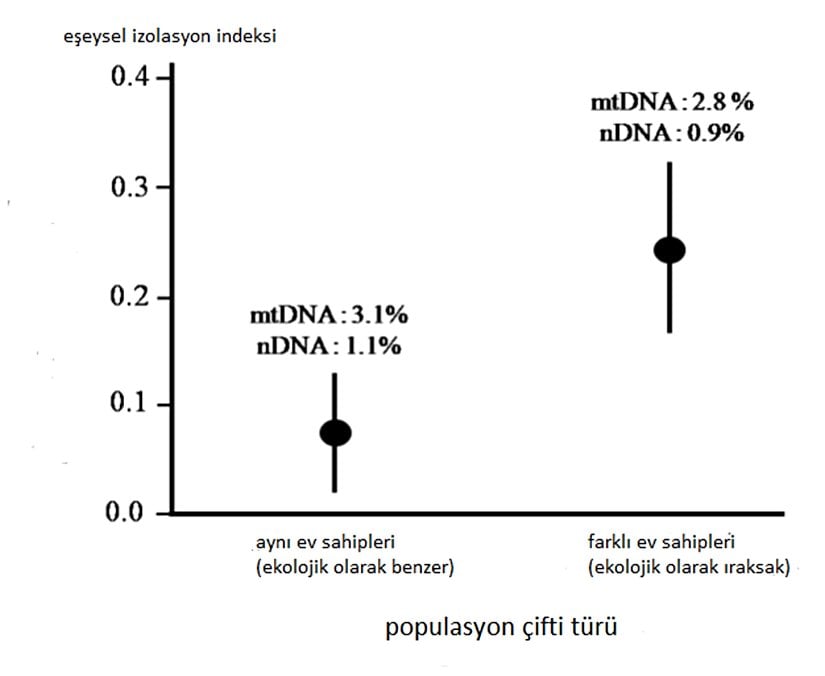 Ekolojik türleşme, konakçı bitkideki Timema cristinae isimli çomak böcekleri (Ceanothus spinosus konakçı bitkisinden ya da Adenostoma fasciculatum'dan beslenirler) ile ilişkilidir. Aynı konakçı bitki türünden beslenen ancak coğrafi bölgeleri farklı olan çiftler, ekolojik açıdan benzerdir ve farklı seçime tabi olmazlar. Buna karşılık, farklı ev sahibi bitki türlerinden beslenen popülasyon çiftleri, ekolojik açıdan farklıdır ve farklı seçime tabidir. Farklı konakçı çiftleri (n = 15 çift), aynı konakçı çiftlerinden (n = 13 çift) farklı çiftleşme tercihlerinden dolayı üreme izolasyonu (eşeysel izolasyon) önemli ölçüde artmaktadır. Bu model, nötr genetik ıraksama bağımsızdır. Ortalama ıraksama mitokondriyal COI geni (mtDNA) ve nükleer IT-2 geni (nDNA) için gösterilir.