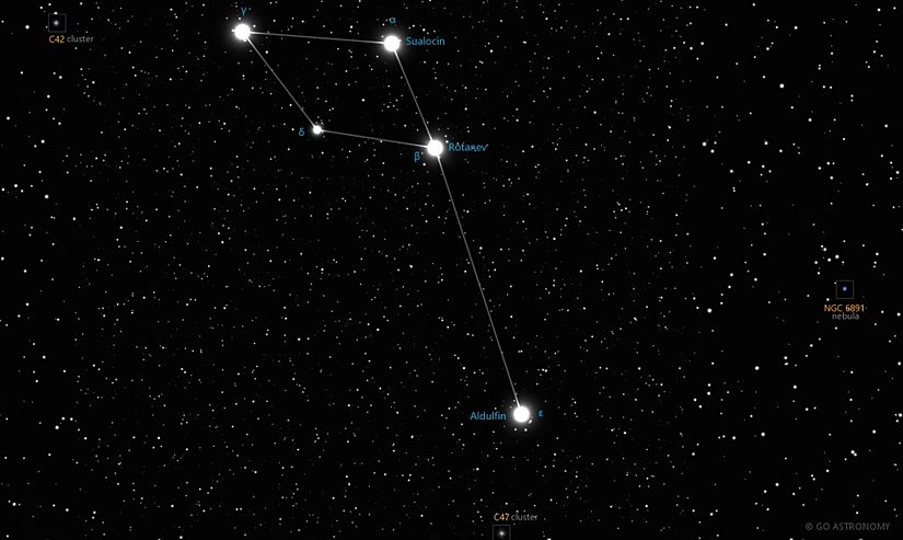 Delphinus Takımyıldızı