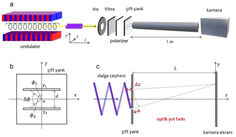 Deneysel düzenek. (a) Foton sayma rejiminde, helisel undulator radyasyonu ile elde edilen ikinci harmonik bileşenin kullanıldığı Young'un çift yarık deneyinin şematik gösterimi. (b) Helisel dalga cephesi yapısından kaynaklanan faz farkını gösteren çift yarık koordinatları. (c) OV ile gerçekleştirilen Young'un çift yarık deneyindeki optik yol farkı.