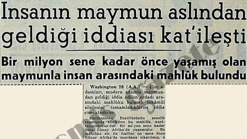 İnsan ile Maymunlar Arasındaki Evrimsel Akrabalık İlişkisi Haberi - Hürriyet Gazetesi (29 Aralık 1956)