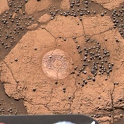 A Berry Bowl of Martian Spherules
