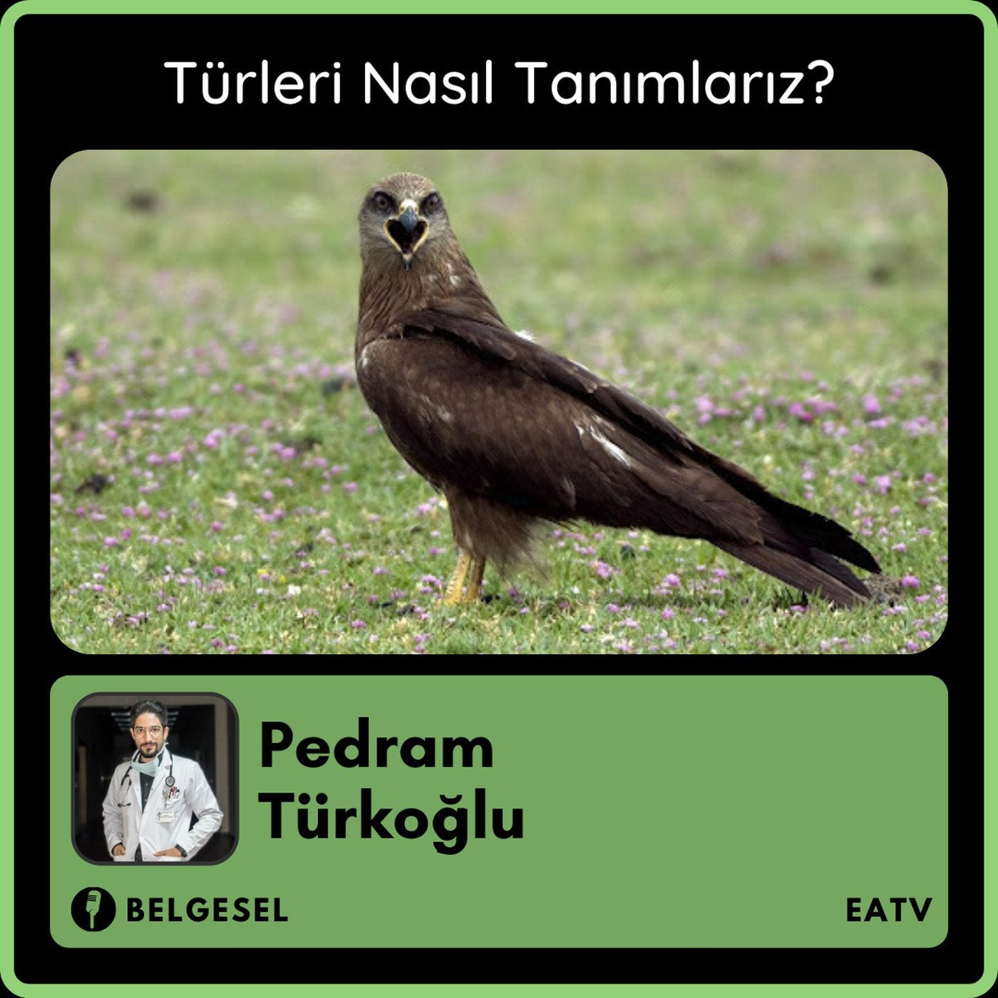 Türleri Nasıl Tanımlarız?