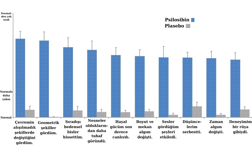 Görselde 30 katılımcıyla yapılan bir psilosibin deneyinin derecelendirme tablosu vardır. Deneyin katılımcılarından 15'ine psilosibin, diğer 15'ine ise plasebo etkili solüsyon verilmiştir. Deney sonuçlarına göre psilosibin, plasobe etkisine oranla bariz derecede yüksek puanlar almıştır. Yani psilosibinin etkileri psikolojik etkiler olmaktan uzaktır.