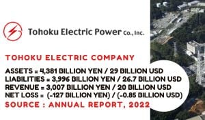 Tohoku Electric Power Reports Strong Third Quarter Gains