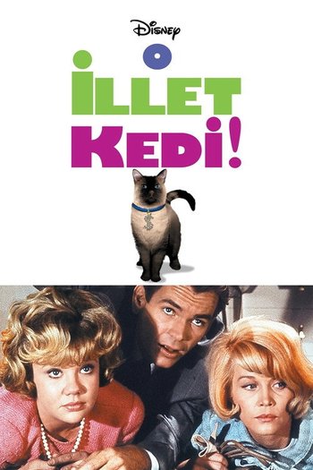 O İllet Kedi