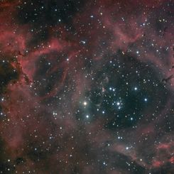 Dust and Light in the Rosette Nebula