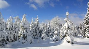 Cold Weather And Fog Blanket Rheinland-Pfalz