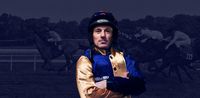 Sean Flanagan’s William Hill blog: Vanillier has found a new lease of life this season