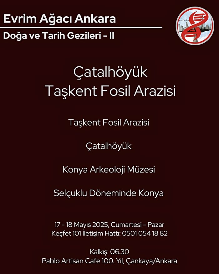 Çatalhöyük/Konya, Taşkent Fosil Arazisi Gezisi