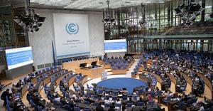 COP29 Climate Financing Falls Short As Leaders Disagree