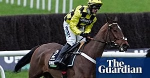 Sir Gino’s Cheltenham Injury Stuns Racing Fans Nationwide