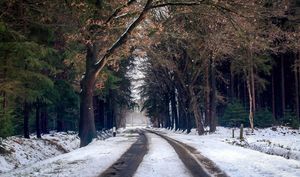 Hamilton Faces Largest Snowfall Of The Winter