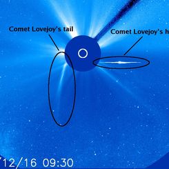 Comet Lovejoy: Sungrazing Survivor