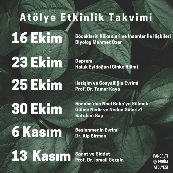 Pangaltı Evrim Atölyesi 16 Ekim - 13 Kasım Tarihleri Arası Etkinlikleri