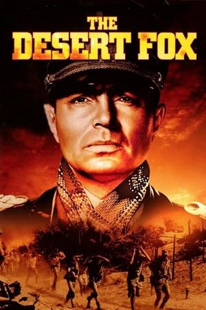 Çöl Tilkisi