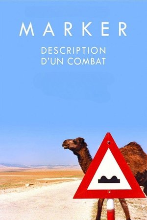 Description d'un combat