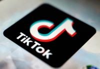 EU accuses Meta and TikTok of breaching transparency rules - Inside Politic