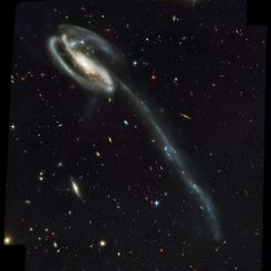 Arp 188 and the Tadpole's Tidal Tail