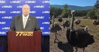 US billionaire calls for investigation after BC ostriches 'gunned down'