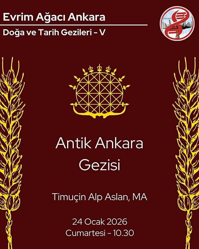 Evrim Ağacı Ankara - Antik Ankara Gezisi