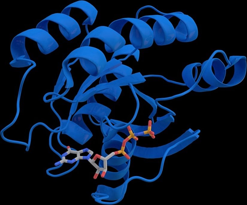KRAS kristal yapısının çizim görünümü. Çubuk şeklinde görülen GTP analogudur.