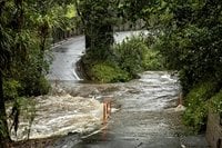People feared buried after New Zealand storms trigger landslide