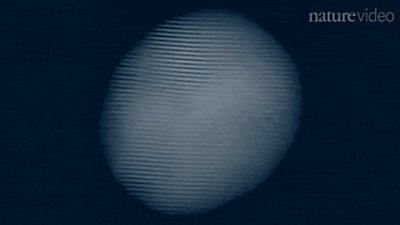 Hiç Atom Gördünüz mü?