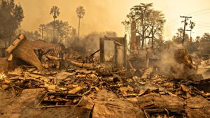 Community Unites For Los Angeles Wildfires Relief