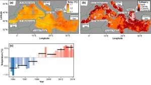 Benthic Trait Diversity Under Siege: Mediterranean Sea Faces Mass Mortality Challenges