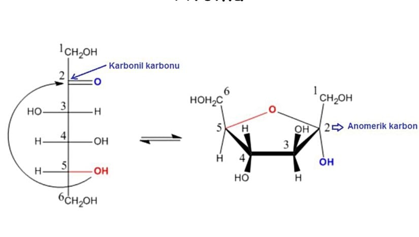 Fruktozdaki anomerik karbon atomunun gösterimi