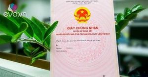 Vietnam's New Land Law Simplifies Agricultural Conversion