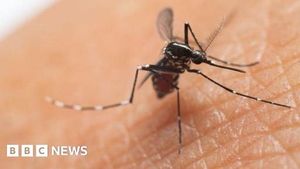 UK Sees Sharp Rise In Chikungunya Cases Linked To Travel