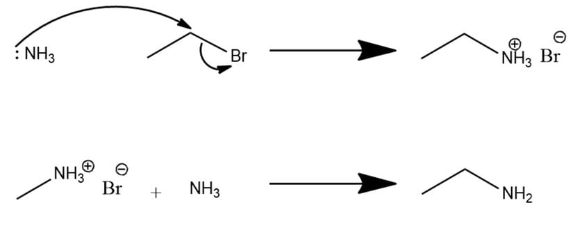 Amonyak ve etil bromür ile gerçekleşen alkilleme tepkimesi
