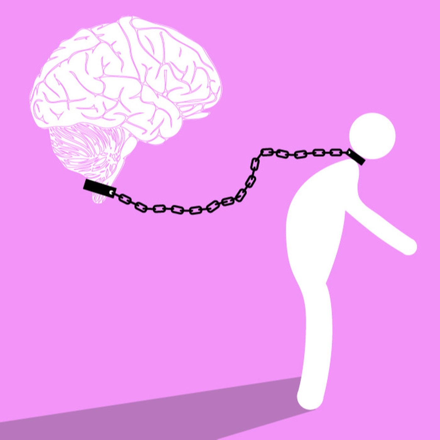 Evrim Ağacı ile Bilime Dair Her Şey!