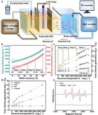 Dynamic reverse Cl− driven integration of sludge conditioning and dewatering - Nature Communications