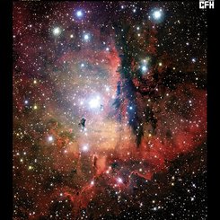 NGC 281: Cluster, Clouds, and Globules