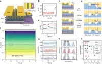 8-bit states in 2D floating-gate memories using gate-injection mode for large-scale convolutional neural networks - Nature Communications