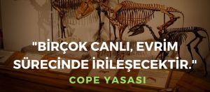 Cope Yasası: Evrim Canlıları İrileşmeye Mi Zorluyor?