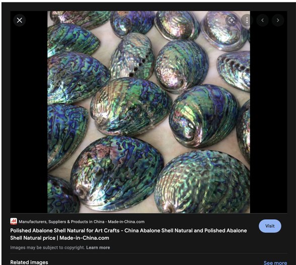 Boyanmış deniz kabuğu