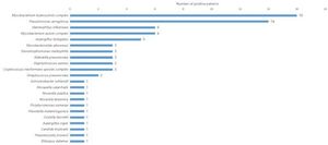 Enhanced Pathogen Detection In Pulmonary Infections Using MNGS