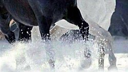 Eşimize duyduğumuz gerçek sevgi